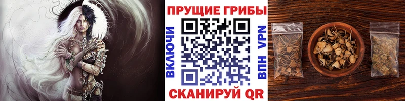 Галлюциногенные грибы ЛСД Чудово